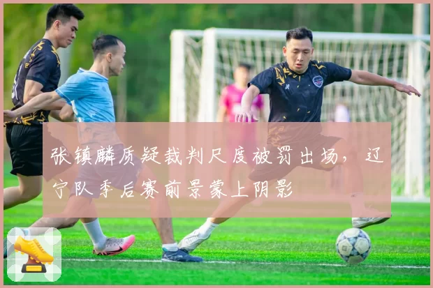 张镇麟质疑裁判尺度被罚出场，辽宁队季后赛前景蒙上阴影