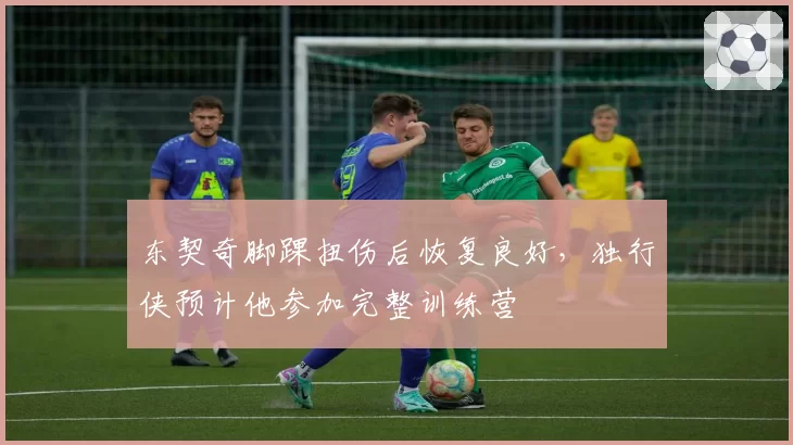 东契奇脚踝扭伤后恢复良好，独行侠预计他参加完整训练营